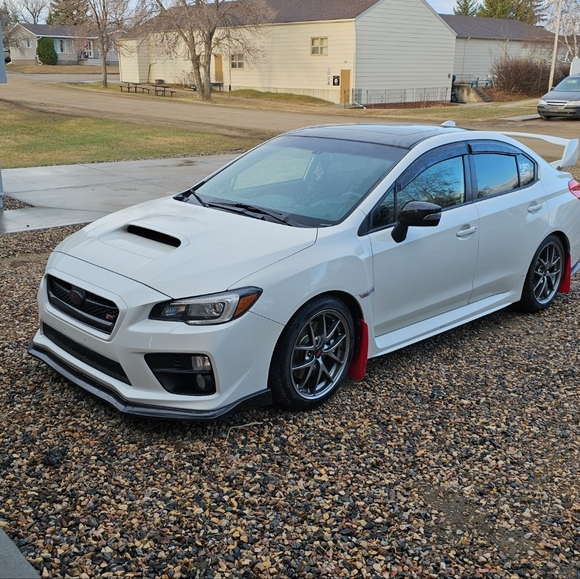 Meet your Posher, Cole - Picture 1 of 1